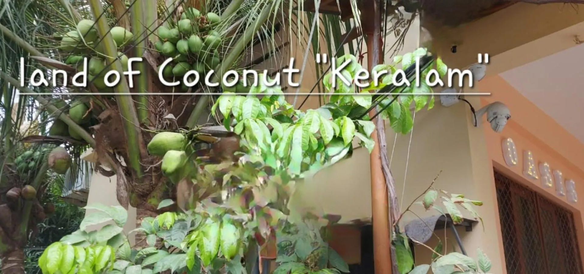 Oasis Homestay Kochi Apartamento