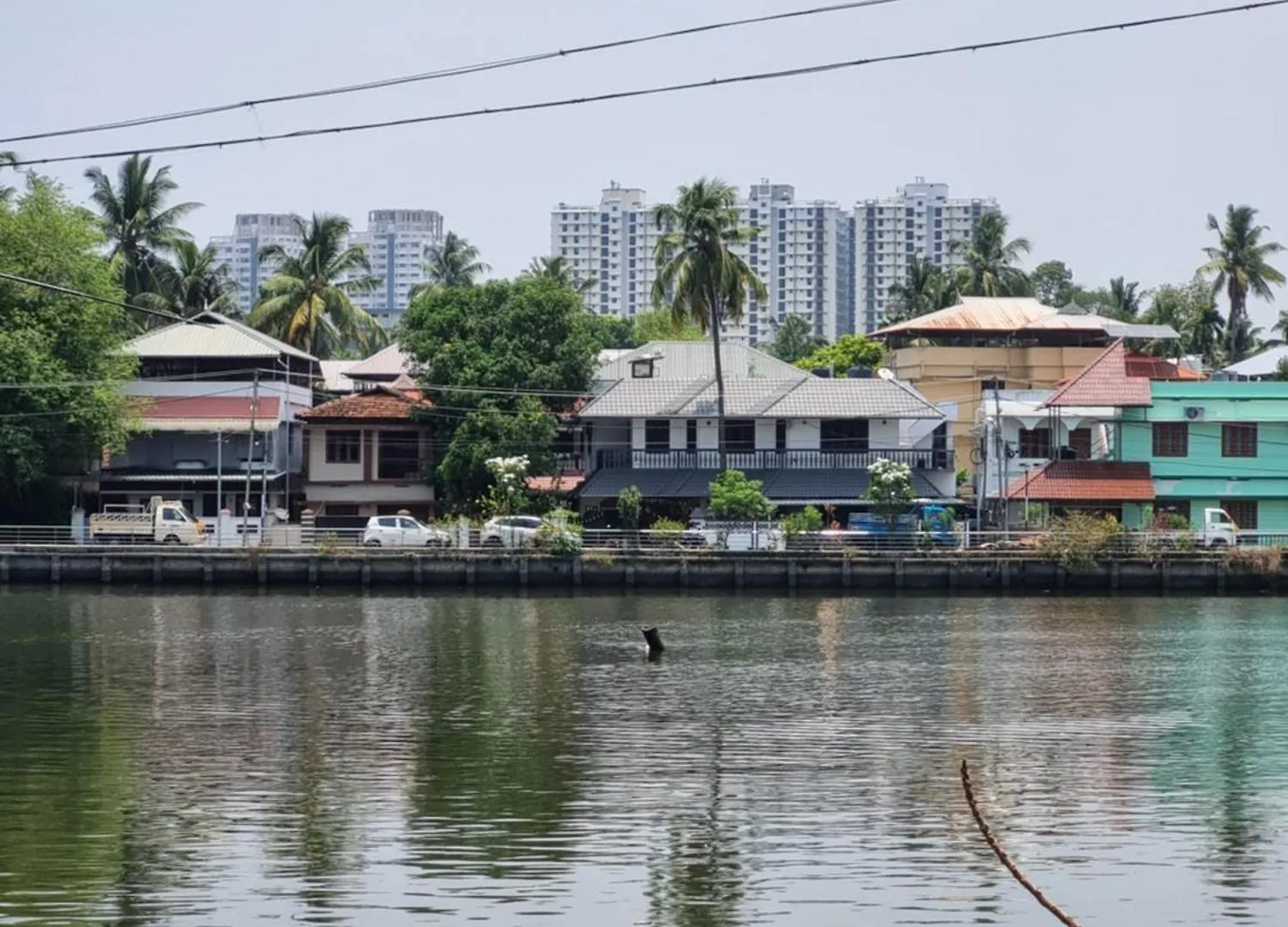 Oasis Homestay Kochi India