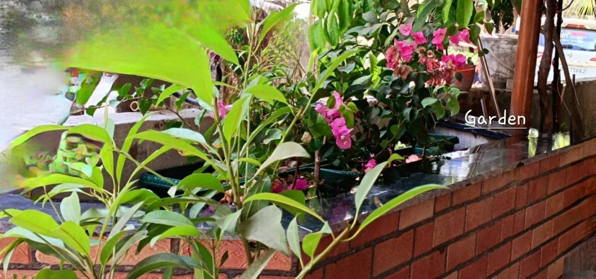 Oasis Homestay Kochi Apartment
